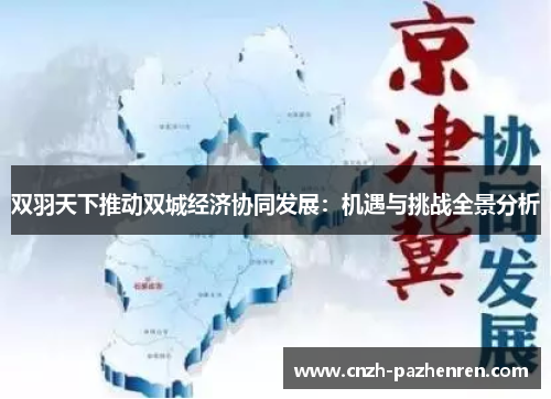双羽天下推动双城经济协同发展：机遇与挑战全景分析