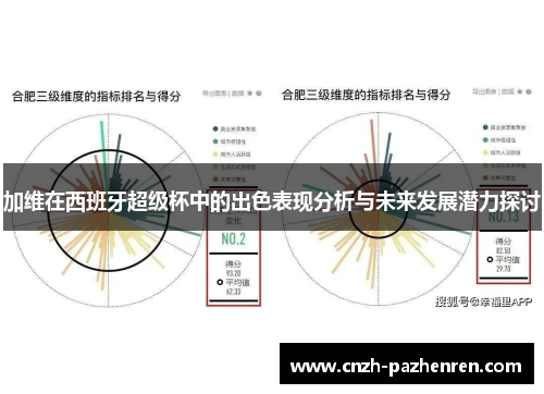 加维在西班牙超级杯中的出色表现分析与未来发展潜力探讨