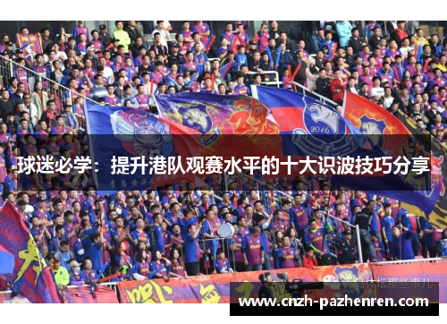 球迷必学：提升港队观赛水平的十大识波技巧分享