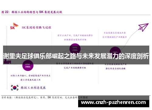 谢里夫足球俱乐部崛起之路与未来发展潜力的深度剖析
