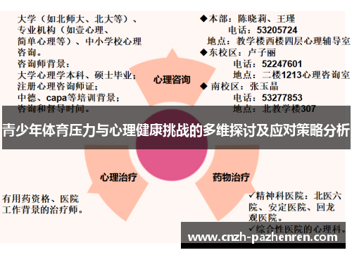 青少年体育压力与心理健康挑战的多维探讨及应对策略分析