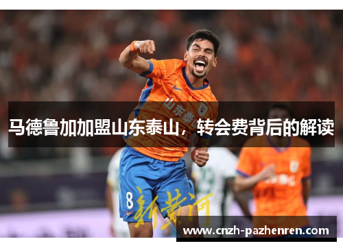 马德鲁加加盟山东泰山,转会费背后的解读 马德鲁加加盟山东泰山,转会费背后的解读