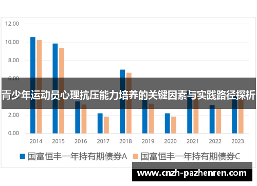 青少年运动员心理抗压能力培养的关键因素与实践路径探析