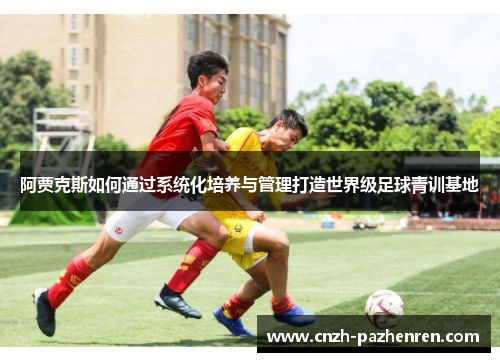 阿贾克斯如何通过系统化培养与管理打造世界级足球青训基地