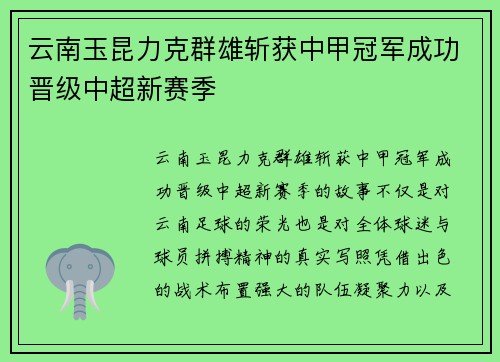 云南玉昆力克群雄斩获中甲冠军成功晋级中超新赛季